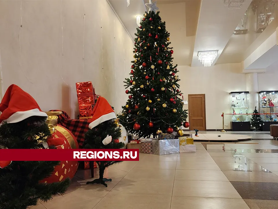 Фото: Хавива Фонина