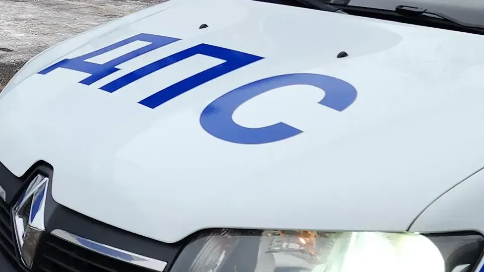 МедиаБанк Подмосковья/Нина Басистая