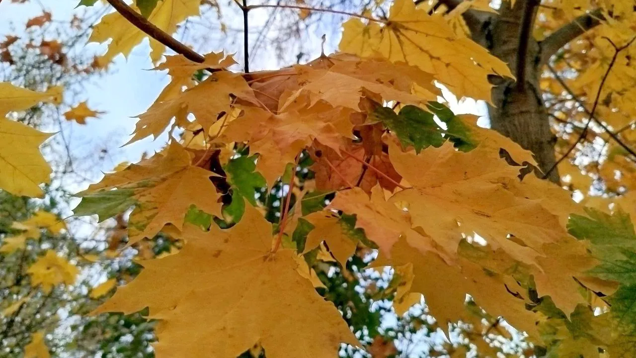 Фото: Наталья Дорофеева