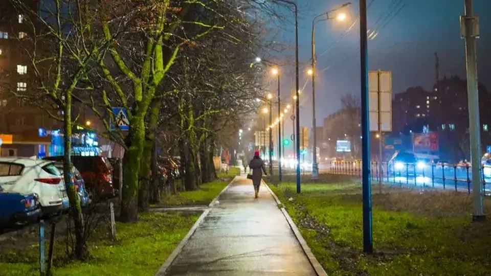 Фото: Министерство благоустройства Московской области