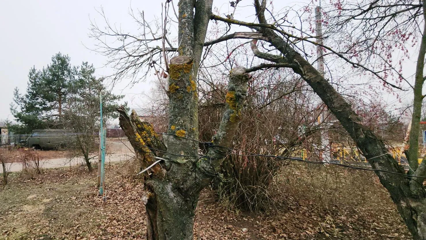 Фото: Иван Дубров