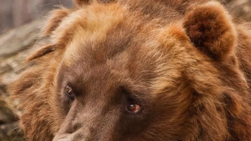 Минэкологии МО
