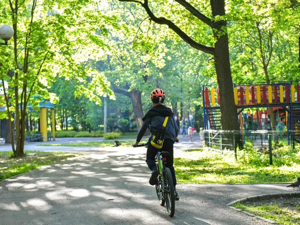 Фото: Министерство благоустройства МО