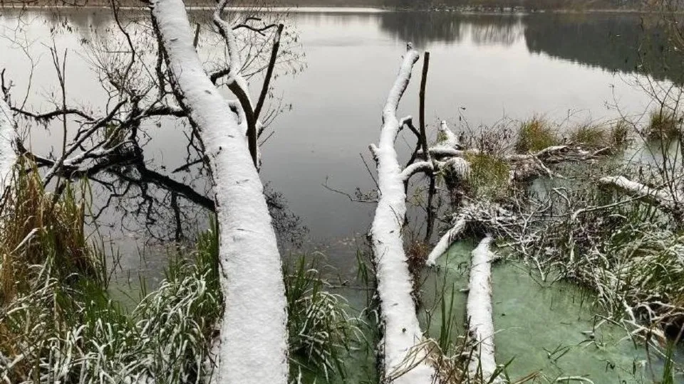 Фото: Министерство экологии и природопользования Московской области