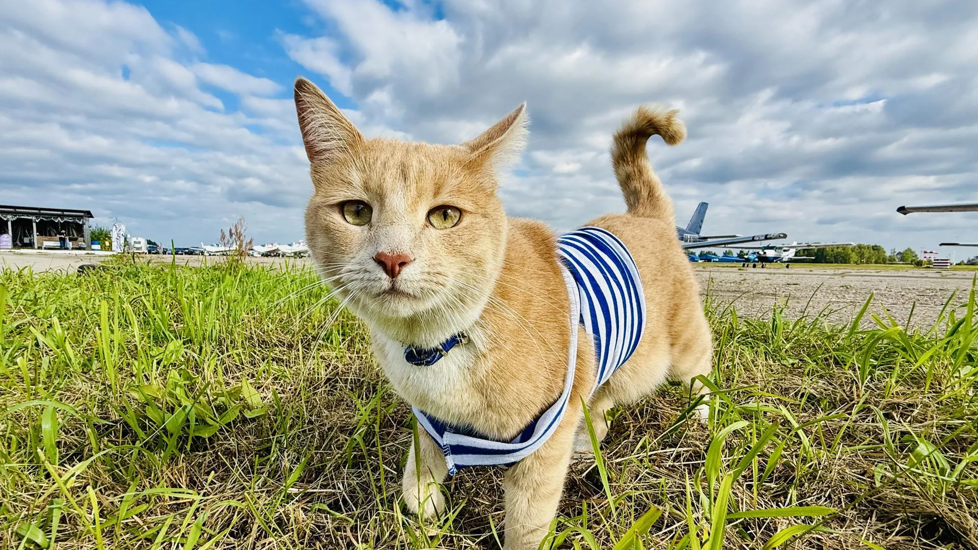 Фото: Медиабанк Подмосковья/Ольга Стаферова