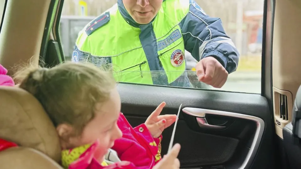 Фото: Госавтоинспекция Московской области