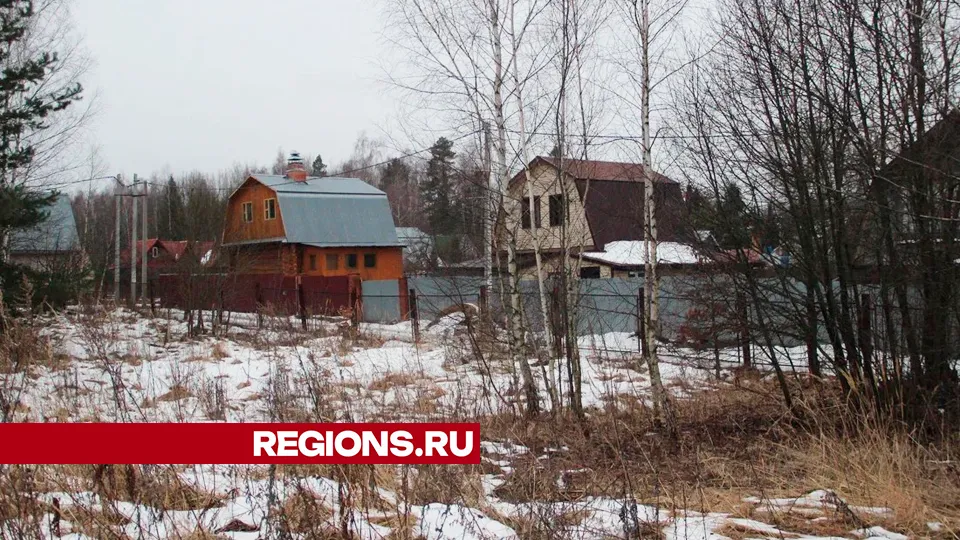 Фото: REGIONS/Василий Тремасов