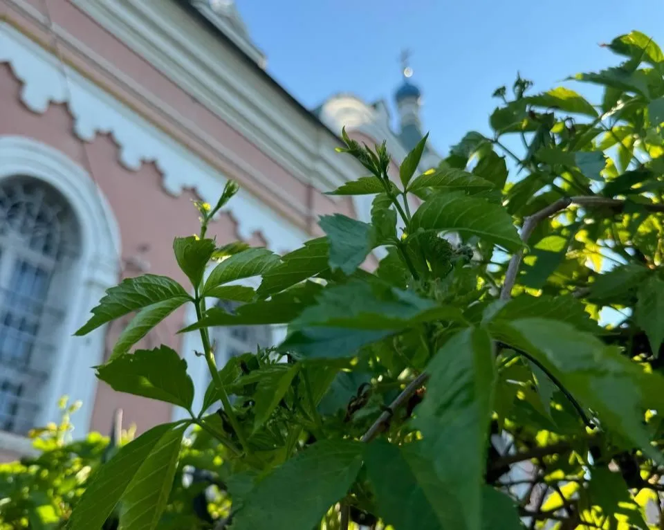 пресс-служба администрации Можайского городского округа