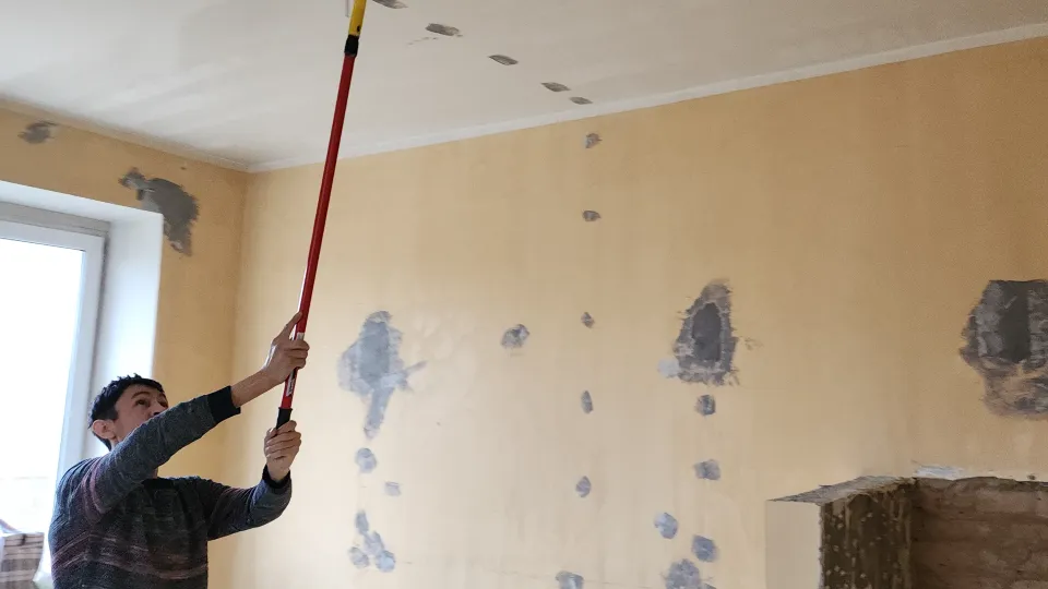 Фото: REGIONS/Нина Басистая