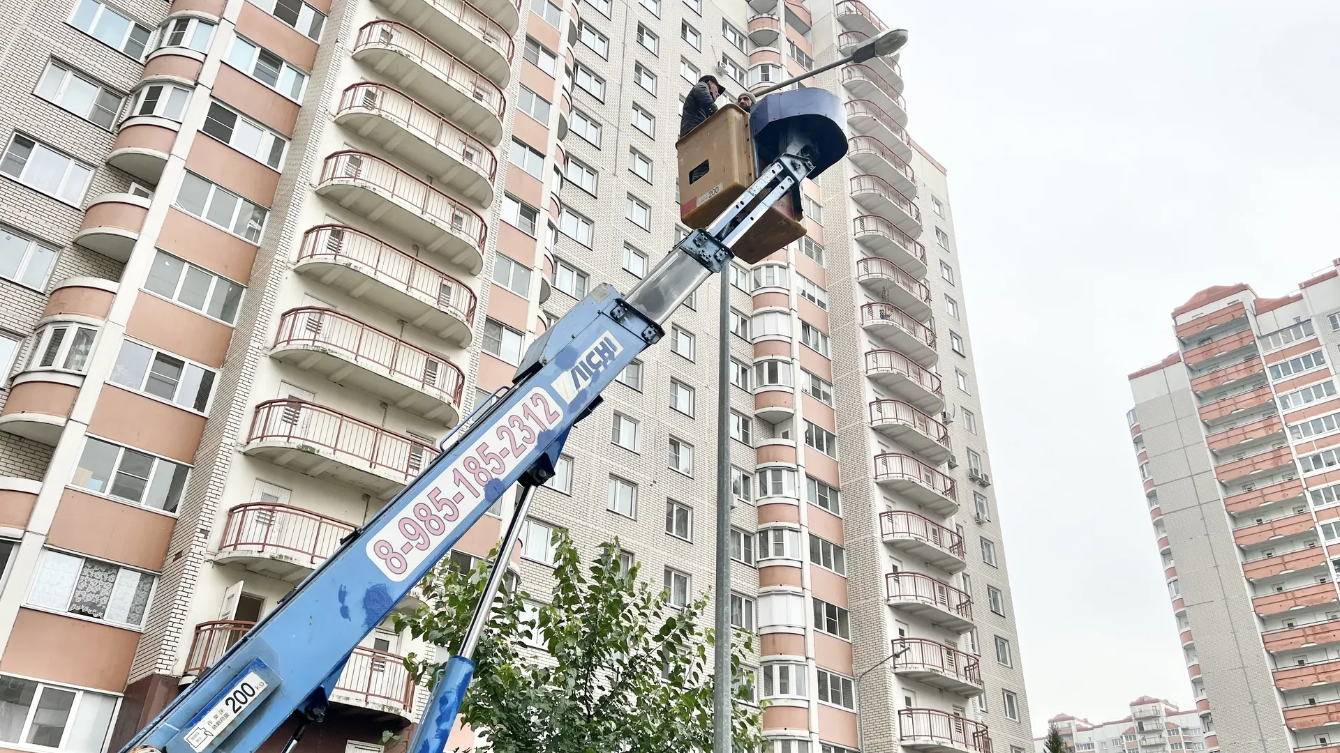 Фото: МедиаБанк Подмосковья/Ирина Мальцева