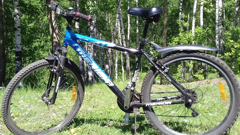 Фото: REGIONS/Олег Книжник