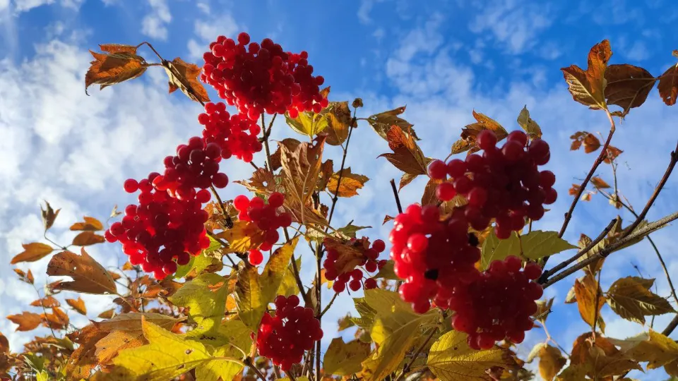 Фото: REGIONS/Елена Забелина