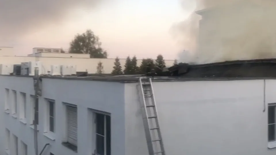 Фото: пресс-служба прокуратуры Московской области