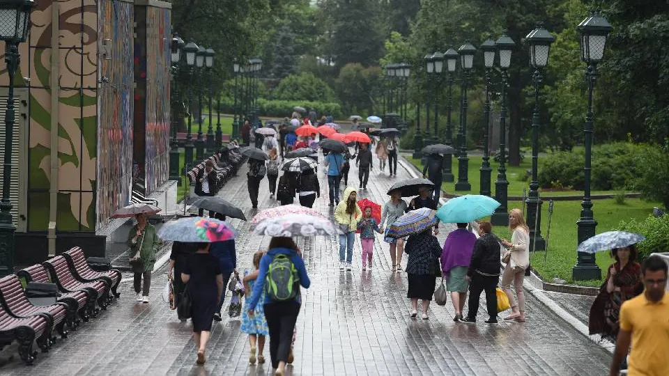 Фото: медиасток.рф