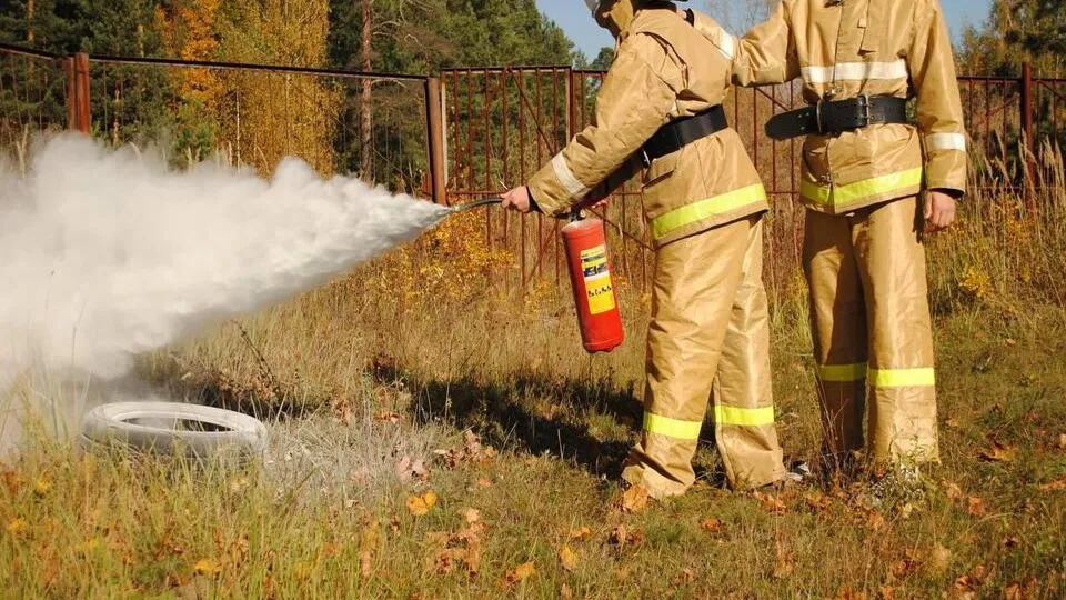 Фото: министерство образования Московской области