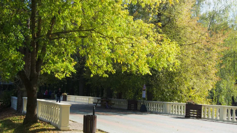 Фото: медиасток.рф