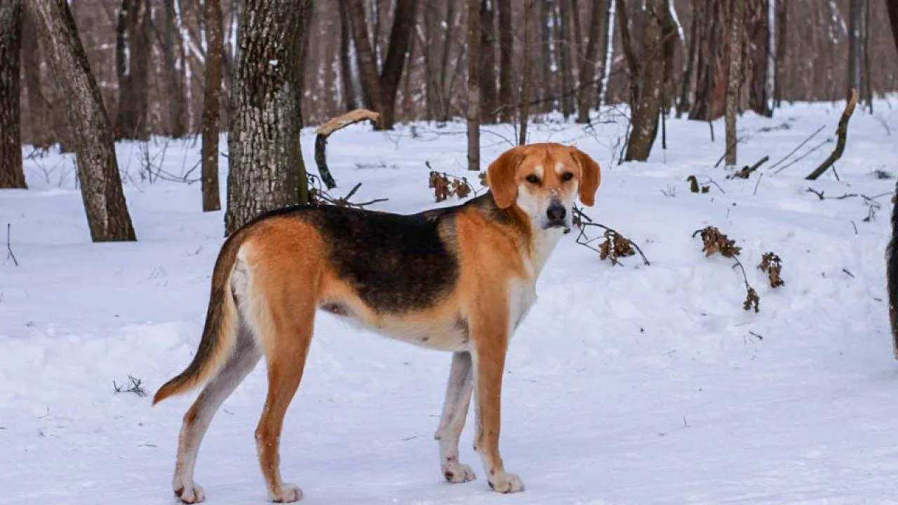 REGIONS/Эльвира Сафина