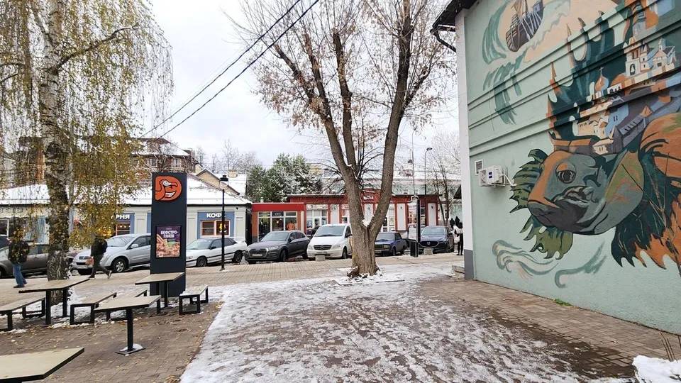 Фото: Хавива Фонина