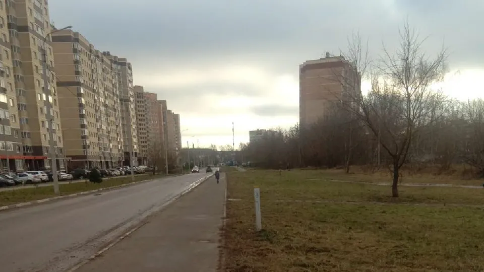 Фото: пресс-служба администрации г.о. Лосино-Петровский