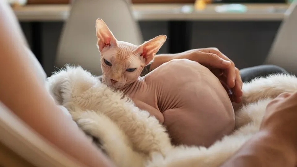 Фото: freepik.com