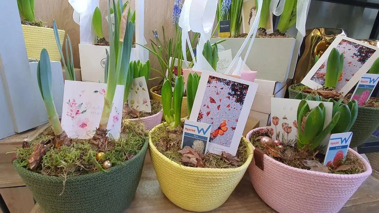 REGIONS/Наталья Надточая