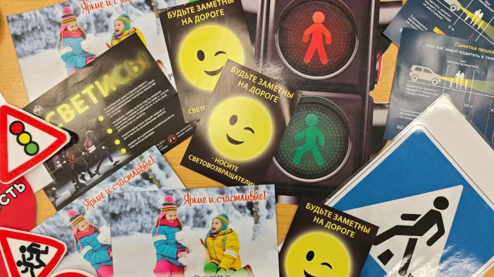 Фото: Госавтоинспекция УМВД России по г. о. Домодедово