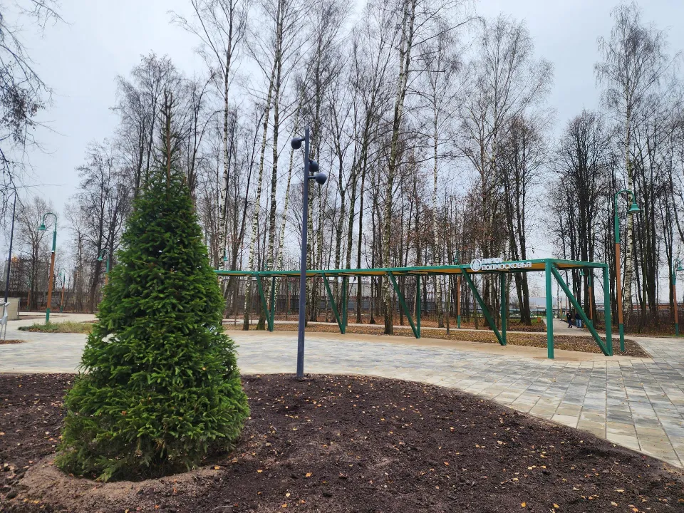 Фото: REGIONS/Ольга Аввакумова