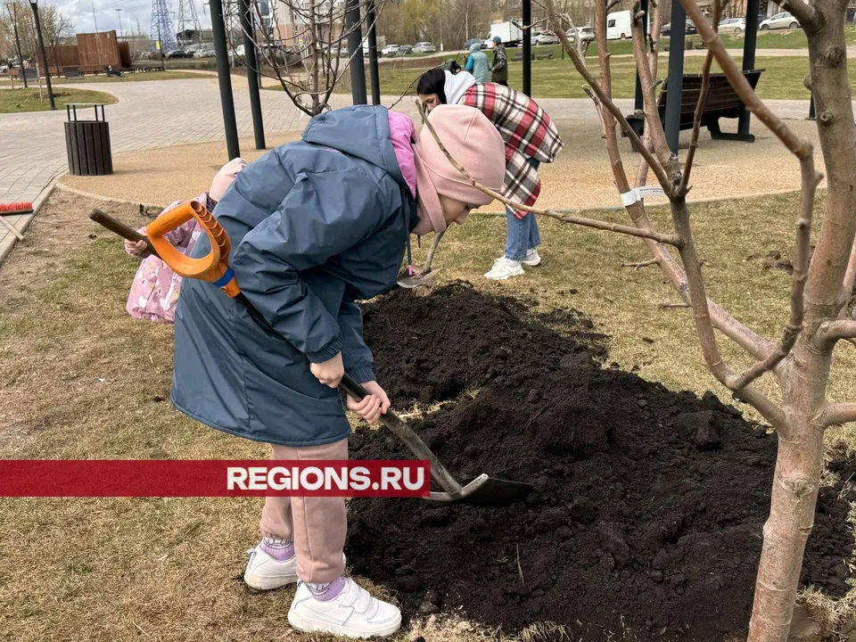 Фото: Мария Шматкова