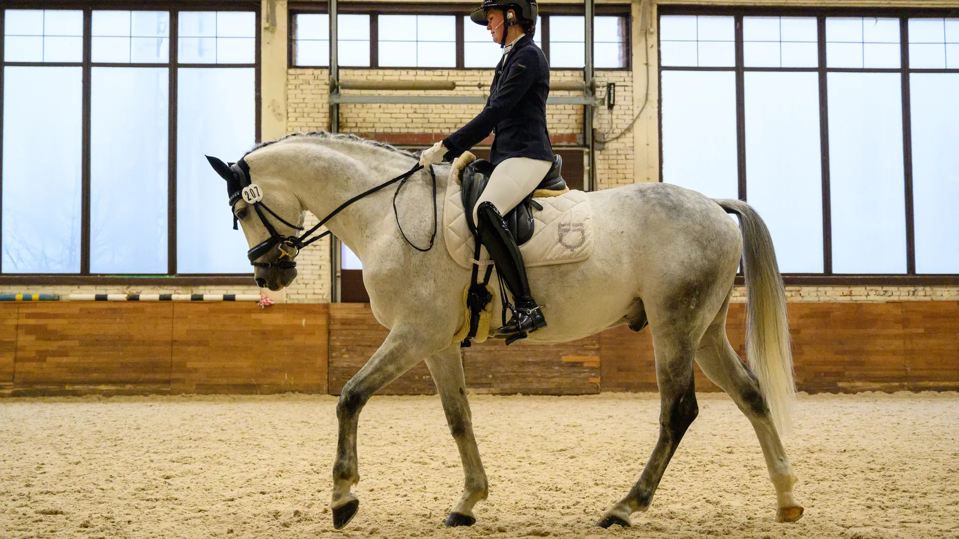 Рамзан молит о помощи: дочь экстрасенса Якубович обвинили в истязании коня