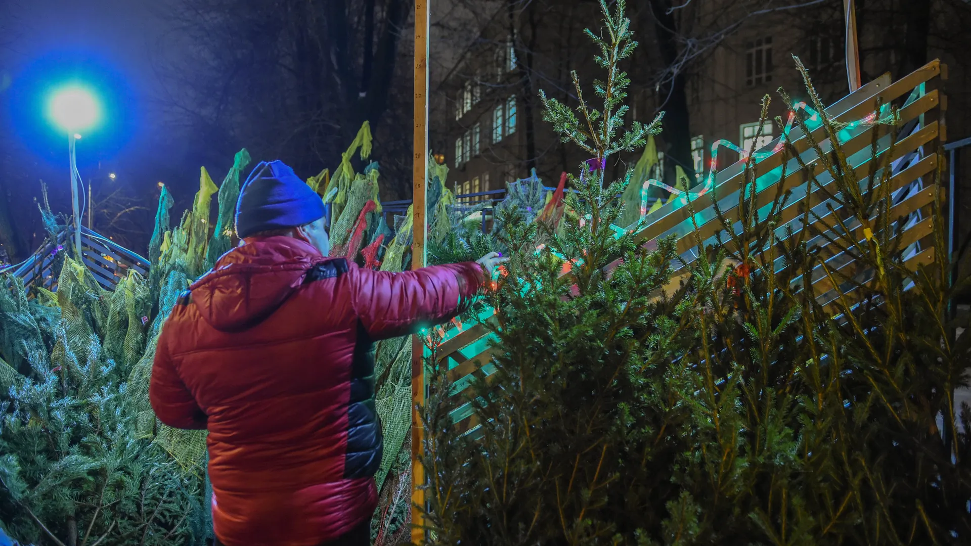 Открытие елочных базаров в Москве