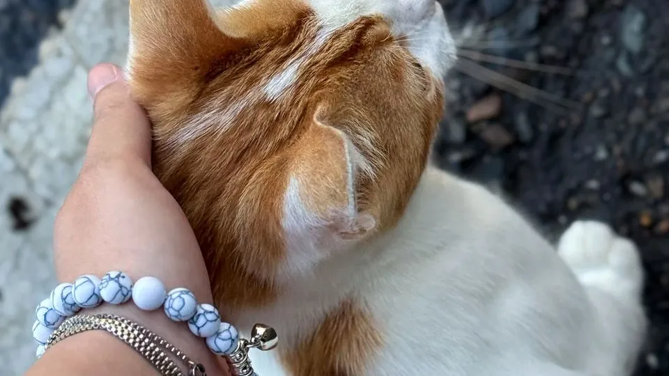 Фото: REGIONS/Дарья Кудинова