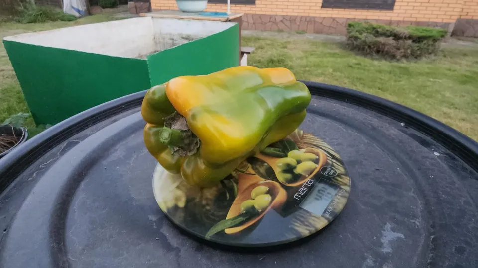 Фото: REGIONS/Алена Притула