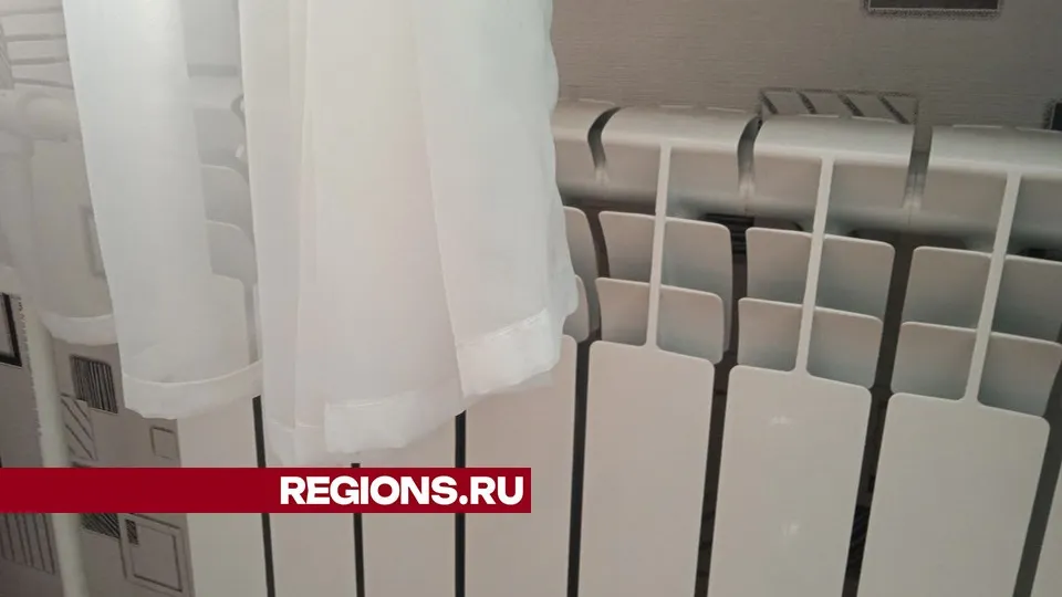 Фото: REGIONS/Юлия Куделькина