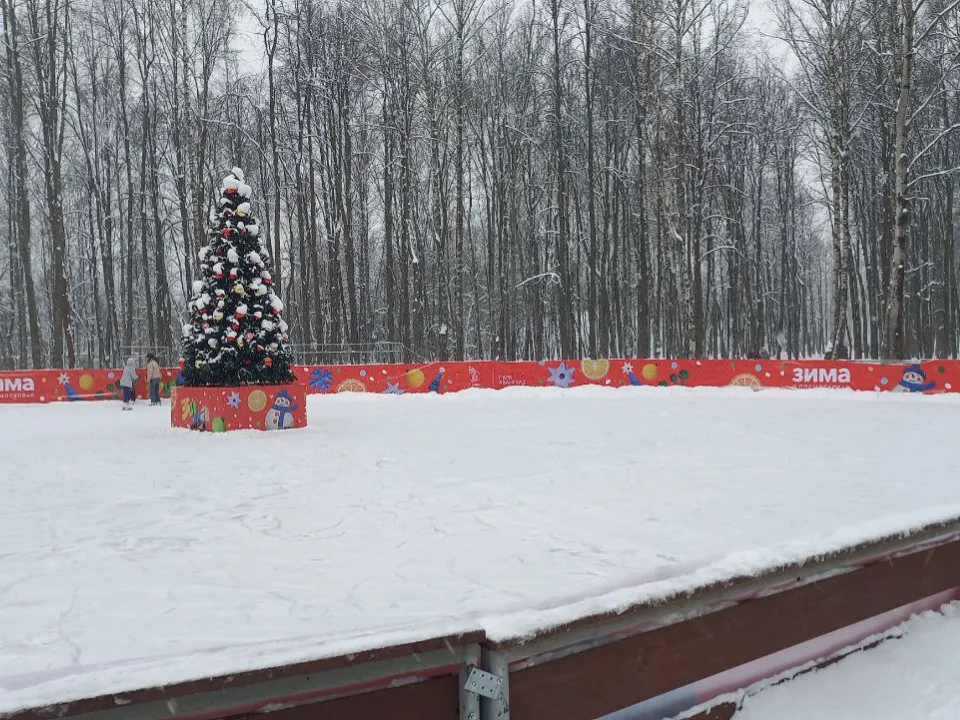 Фото: REGIONS/Олег Книжник