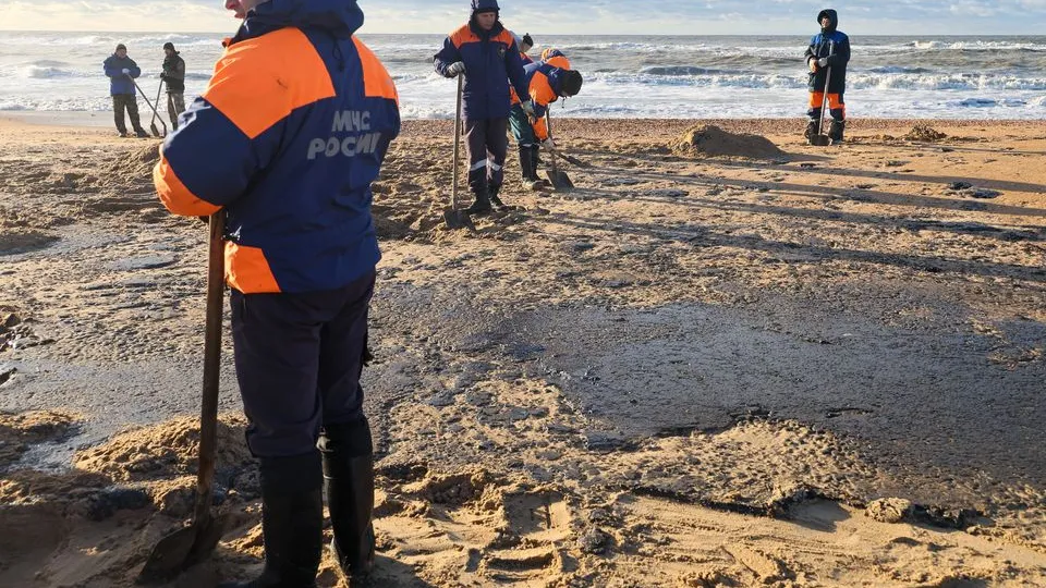 Фото: ТАСС/Сергей Мальгавко