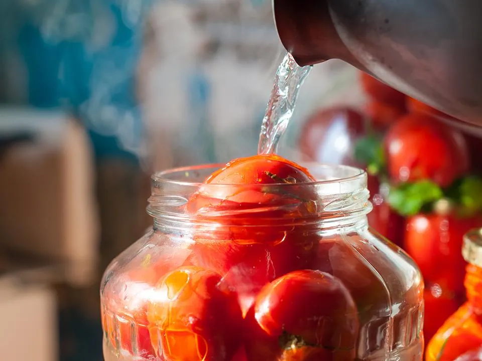 Фото: istockphoto.com