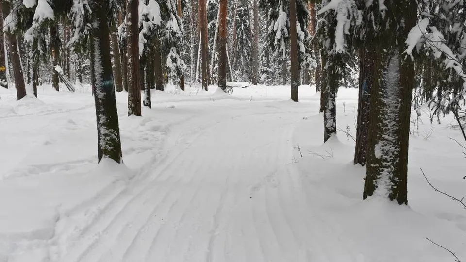 Фото: t.me/Pak_Andronik