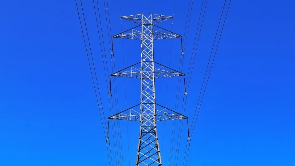 Фото: pxhere.com