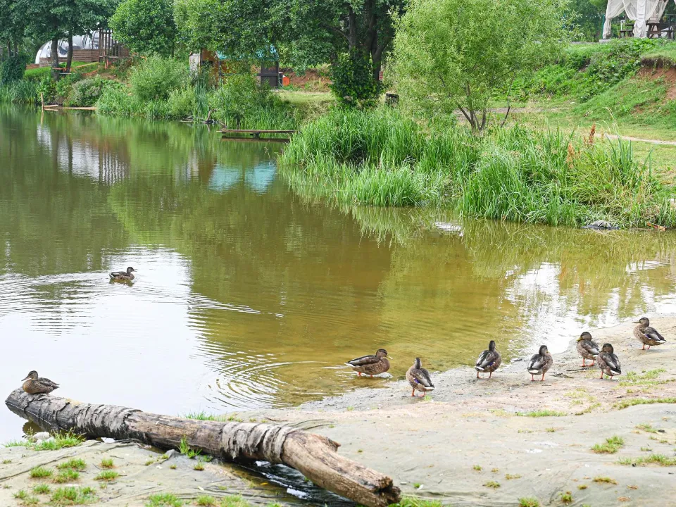 Фото: пресс-служба Администрации Ленинского г.о.
