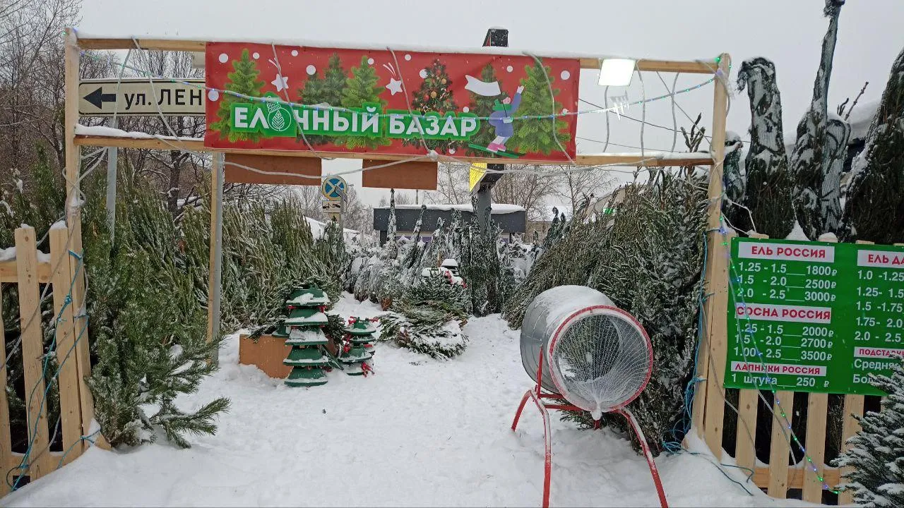 Ксения Казакова