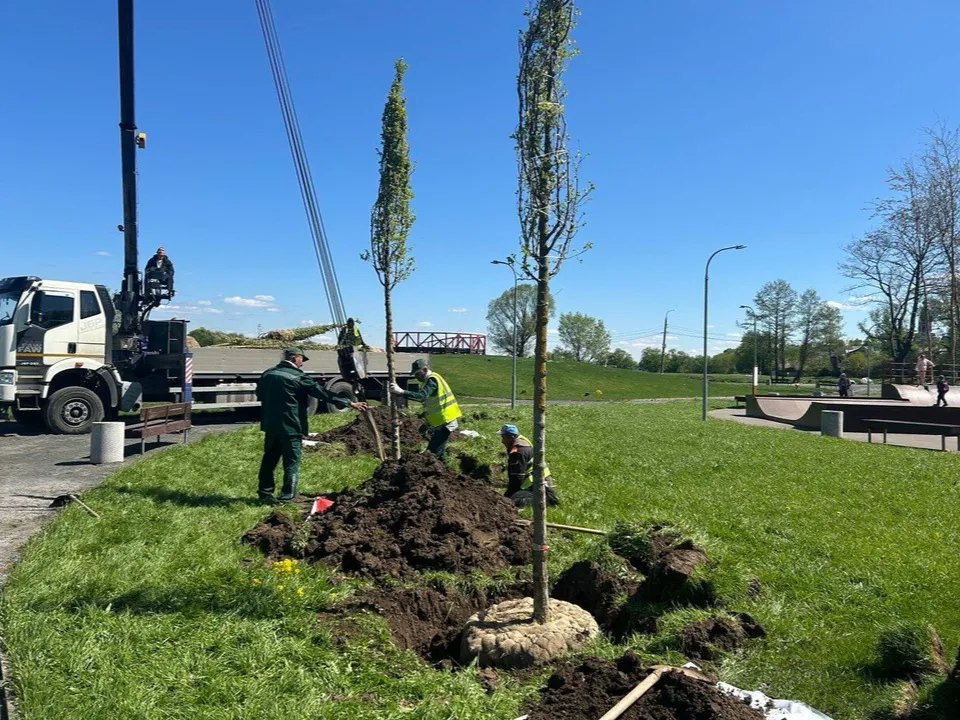 Фото: t.me/brolug