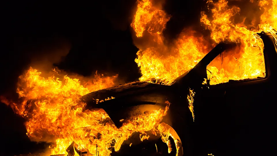 Фото: istockphoto.com/trikolor