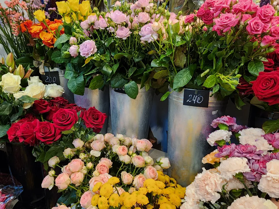 Фото: МедиаБанк Подмосковья/Валентина Максимова