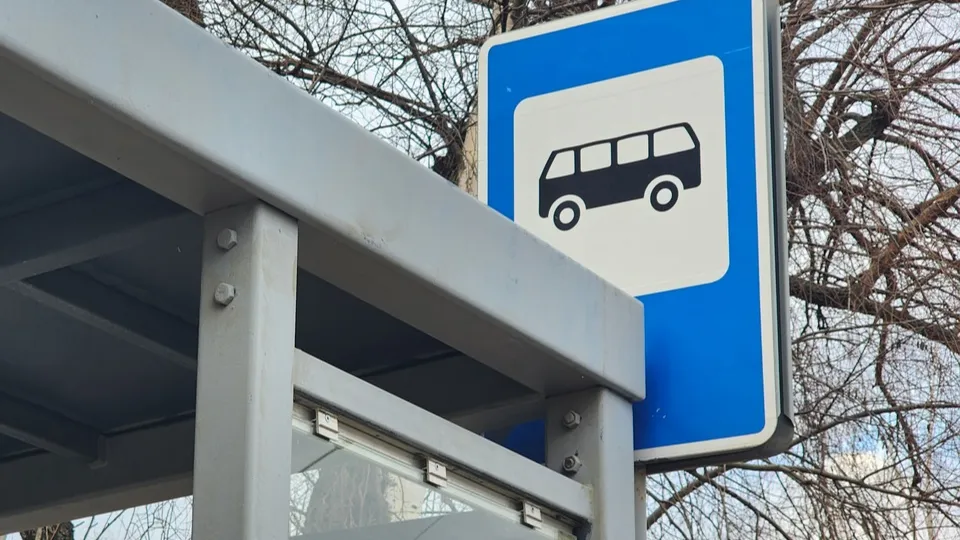 Фото: МедиаБанк Подмосковья/Мария Юдина