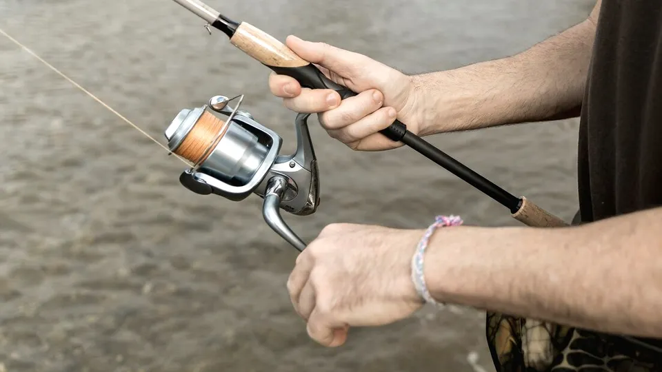 Фото: freepik.com