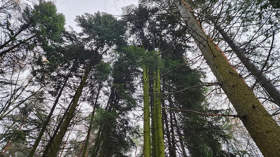 Фото: МедиаБанк Подмосковья/Роман Савельев