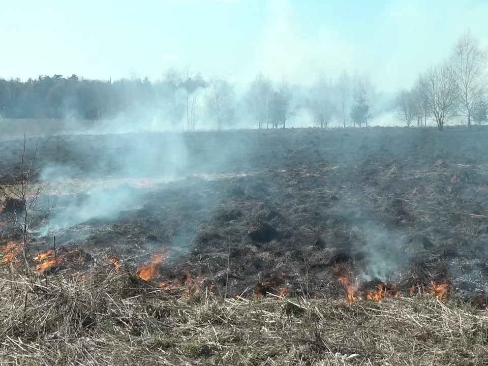 Фото: Наталия Надточая&nbsp;