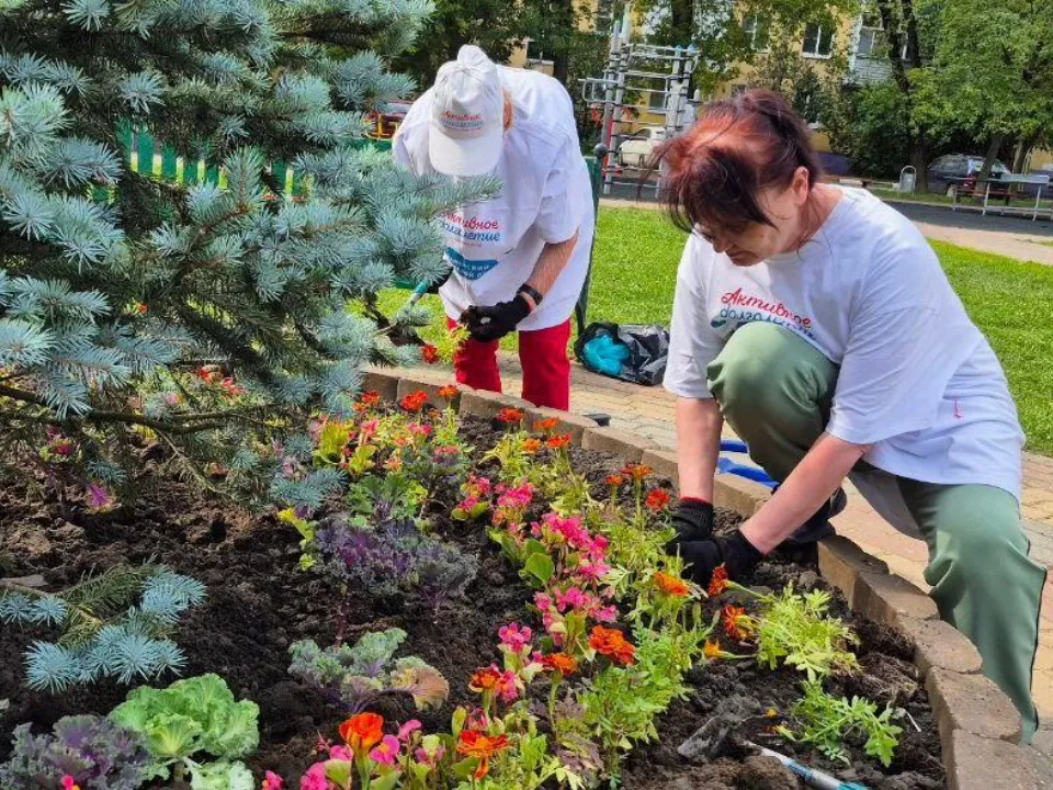 Фото: проект «Активное долголетие» Раменского
