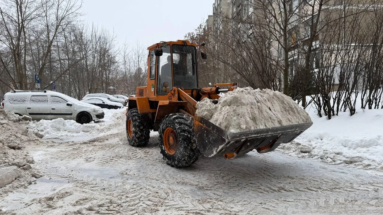 И. Стрижевский