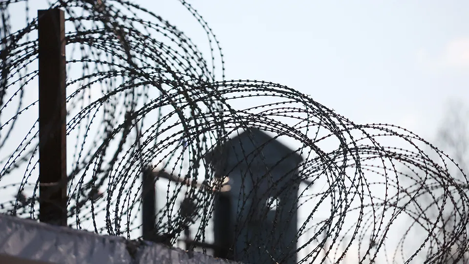 Фото: ТАСС/Сергей Фадеичев